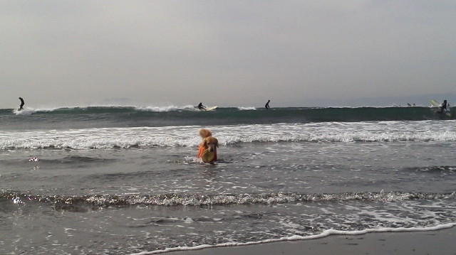 ファイル 2928-2.jpg