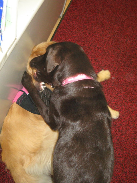 ファイル 293-3.jpg