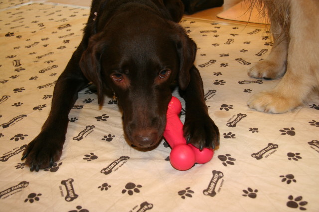 ファイル 293-4.jpg