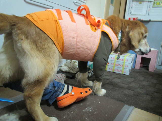 ファイル 2933-1.jpg