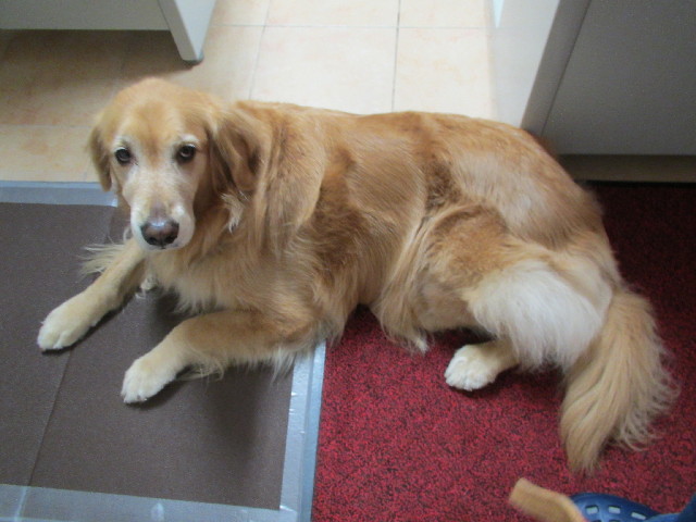 ファイル 2936-3.jpg