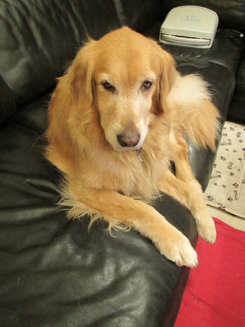 ファイル 2936-4.jpg