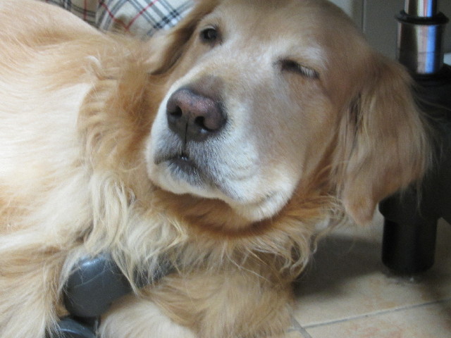 ファイル 2937-3.jpg