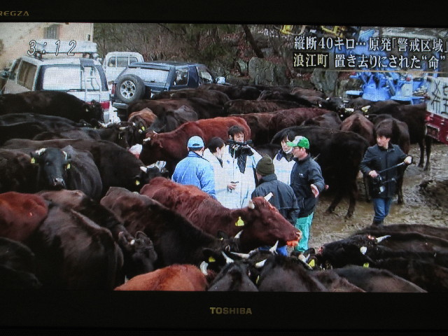 ファイル 2939-4.jpg