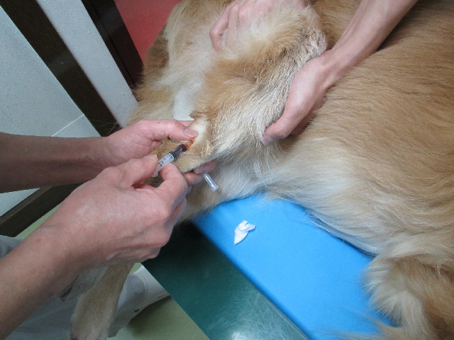 ファイル 2941-3.jpg