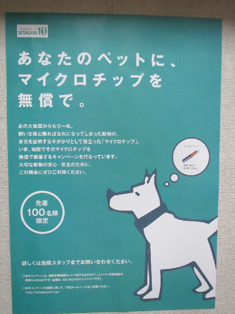 ファイル 2941-5.jpg