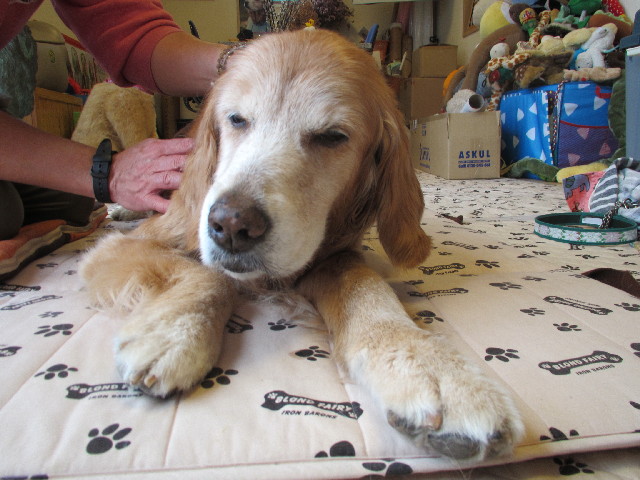 ファイル 2942-1.jpg