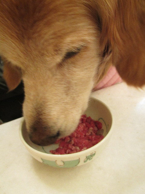 ファイル 2942-3.jpg