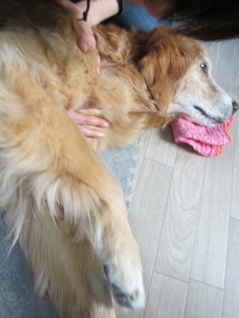 ファイル 2943-1.jpg