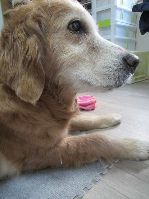 ファイル 2943-2.jpg