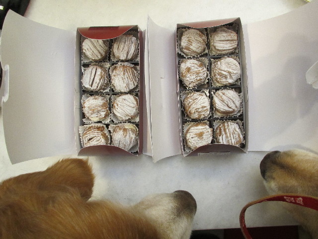 ファイル 2945-4.jpg