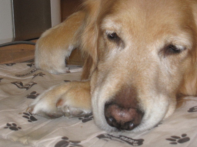 ファイル 2946-4.jpg