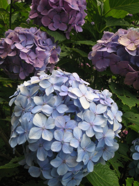 ファイル 295-5.jpg