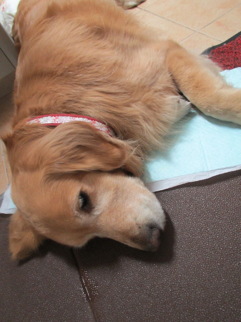 ファイル 2951-3.jpg