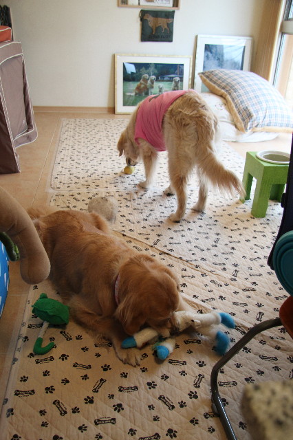 ファイル 2955-1.jpg