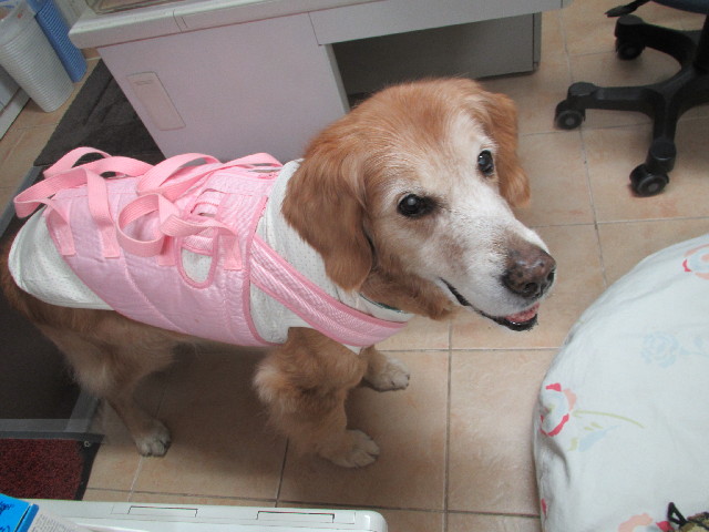 ファイル 2956-5.jpg