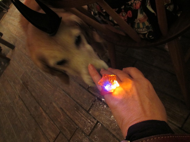 ファイル 2957-5.jpg