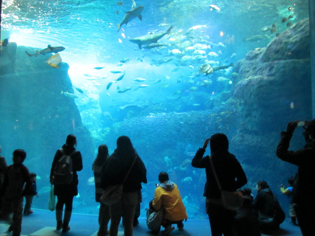 ファイル 2958-5.jpg