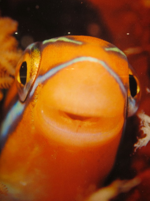 ファイル 2960-1.jpg