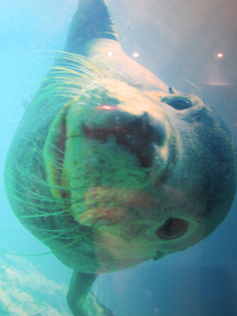 ファイル 2960-2.jpg