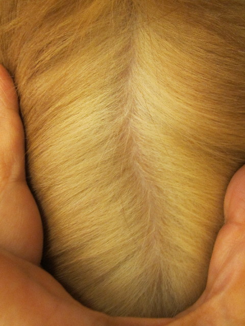 ファイル 2962-2.jpg