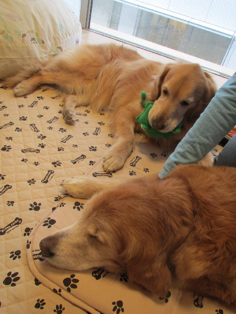 ファイル 2962-3.jpg