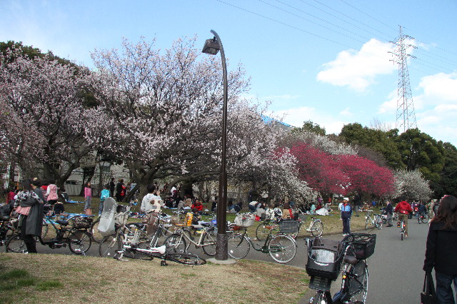 ファイル 2964-1.jpg