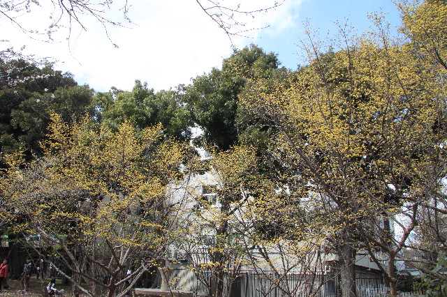 ファイル 2964-4.jpg