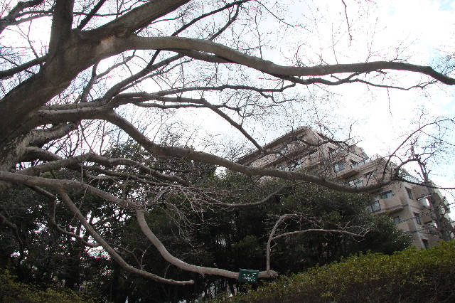 ファイル 2964-5.jpg