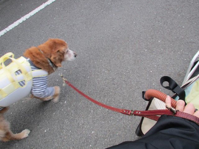 ファイル 2966-3.jpg