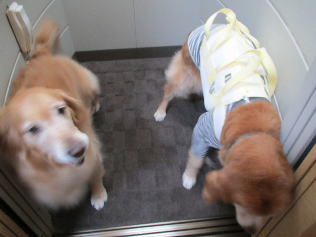 ファイル 2967-1.jpg