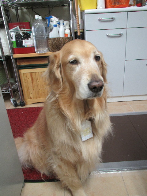 ファイル 2967-2.jpg