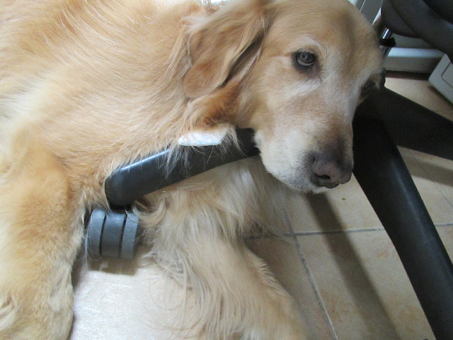 ファイル 2967-3.jpg