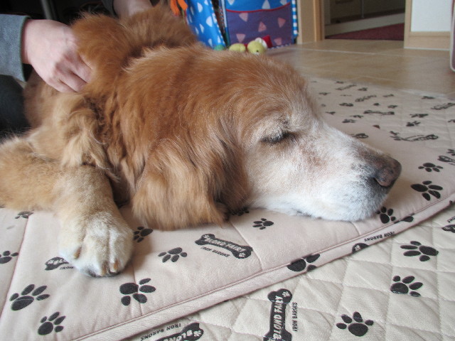 ファイル 2967-5.jpg