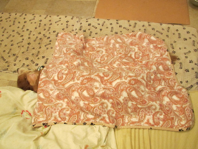 ファイル 2968-5.jpg