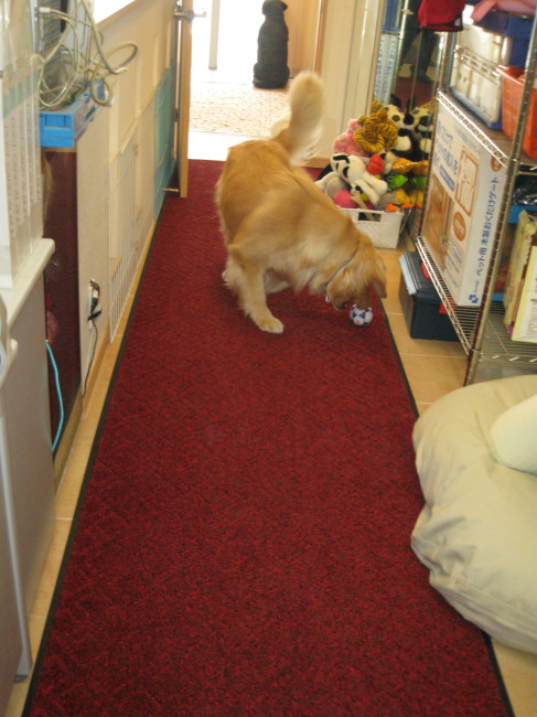 ファイル 297-2.jpg