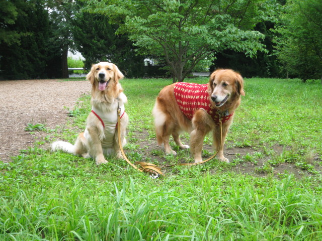 ファイル 297-3.jpg