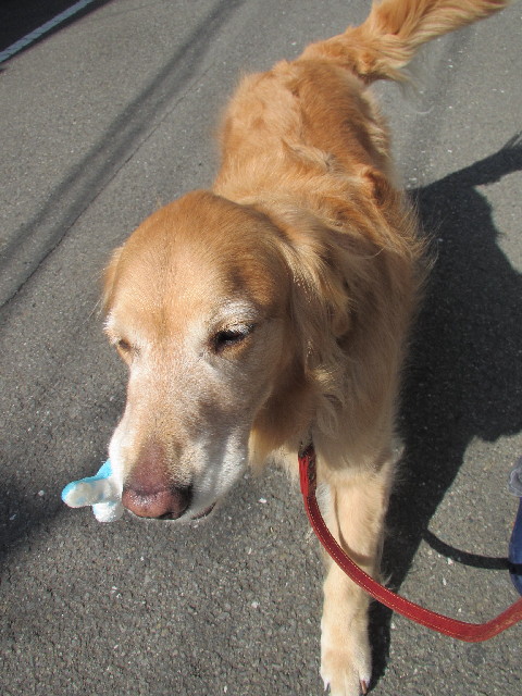 ファイル 2970-2.jpg