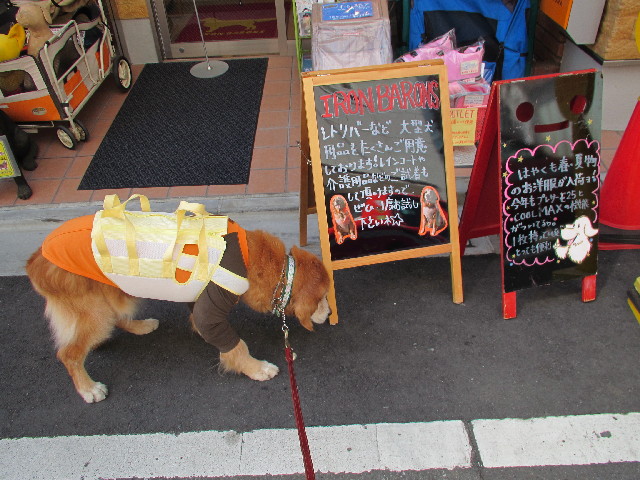 ファイル 2970-4.jpg