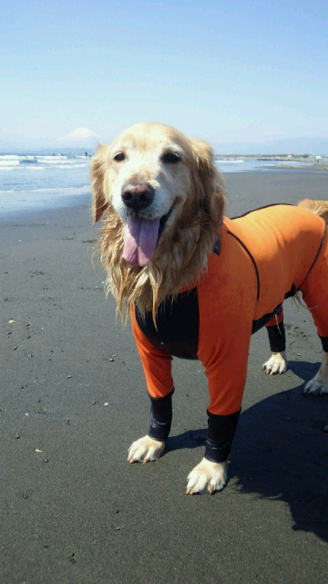 ファイル 2971-1.jpg