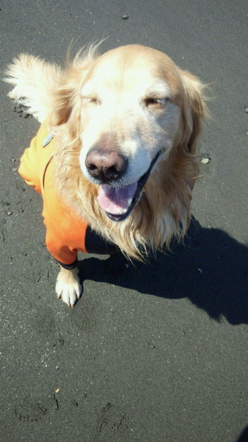 ファイル 2971-2.jpg