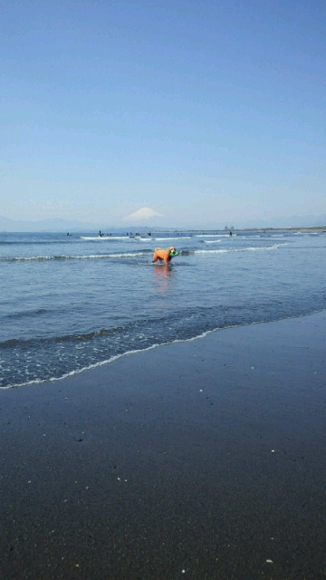 ファイル 2971-3.jpg