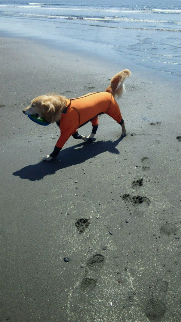 ファイル 2971-4.jpg