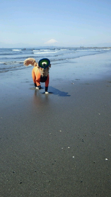 ファイル 2971-5.jpg