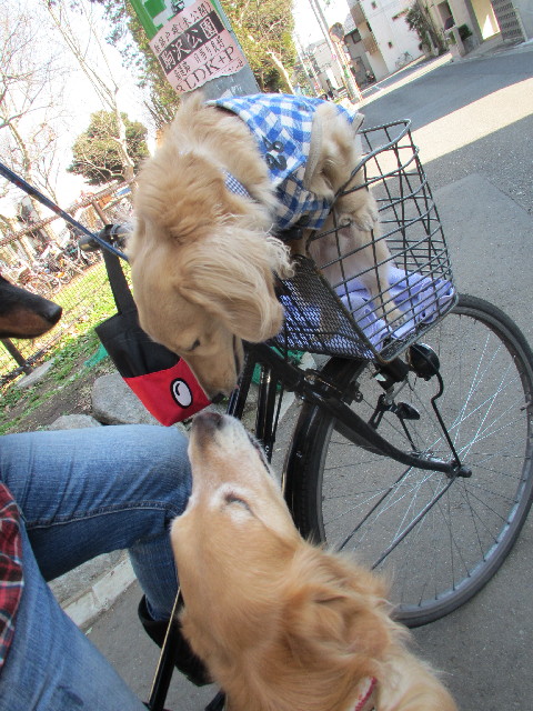 ファイル 2973-1.jpg