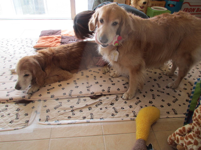 ファイル 2973-2.jpg