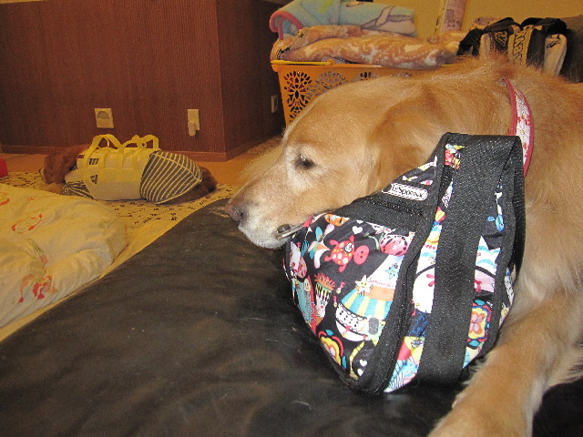 ファイル 2973-4.jpg