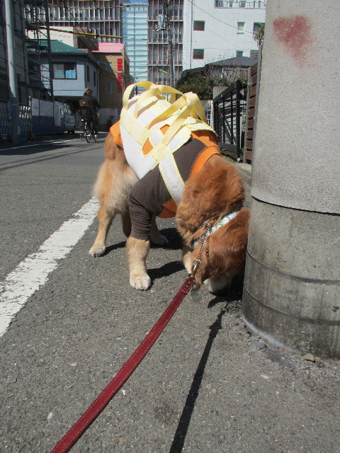 ファイル 2977-1.jpg