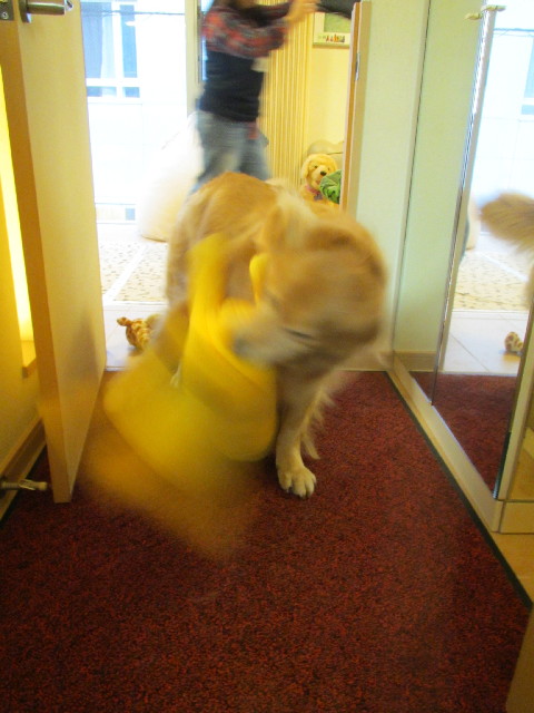 ファイル 2979-4.jpg