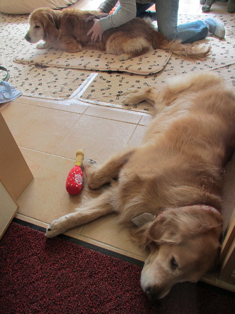 ファイル 2980-1.jpg